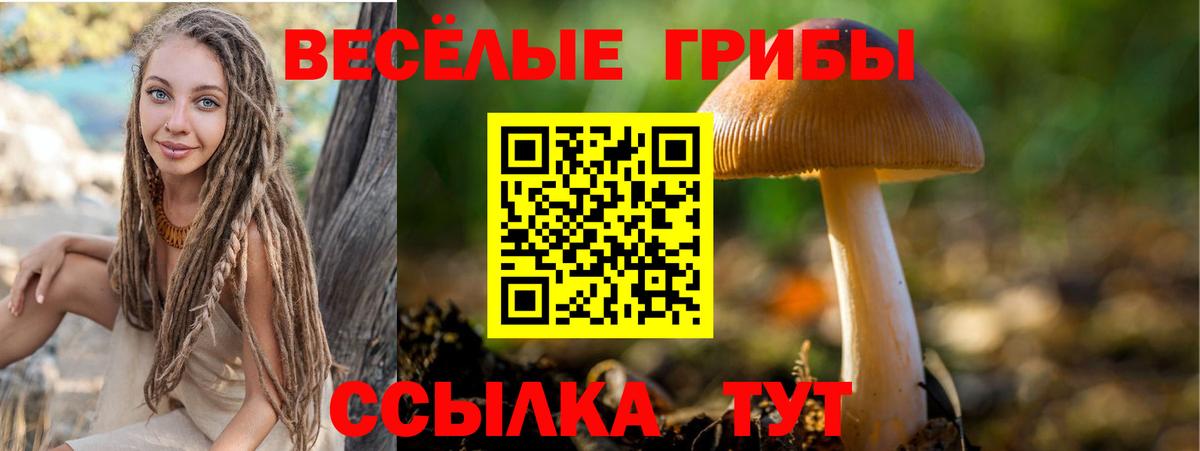 Орёл  наркота  Вход с VPN  Галлюциногенные грибы мухоморы 